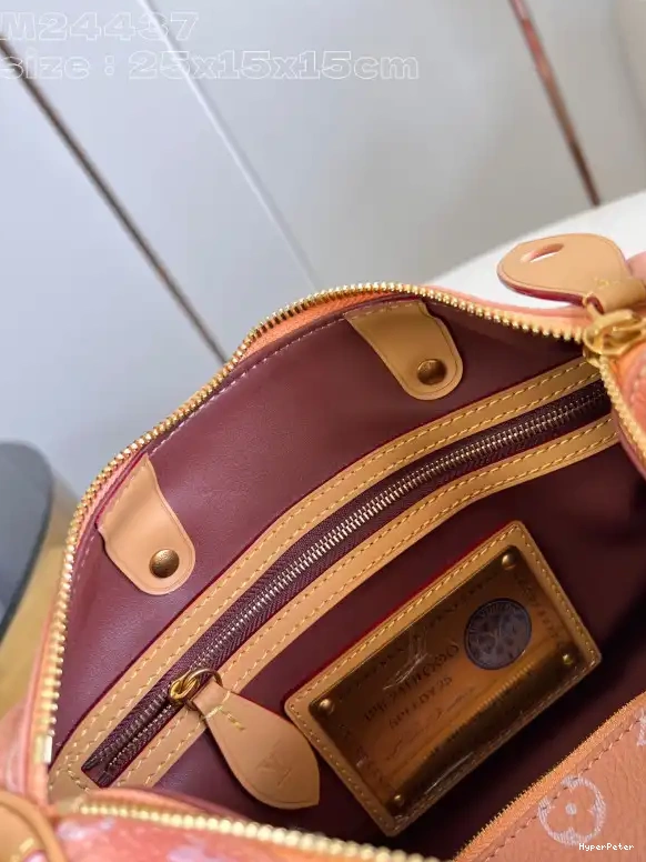 SPEEDY Louis Vuitton 25 0706